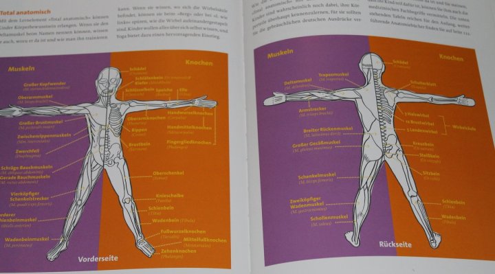 Yogakids- Marsha Wenig